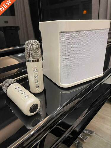 100W explosive portable professional karaoke dual microphone