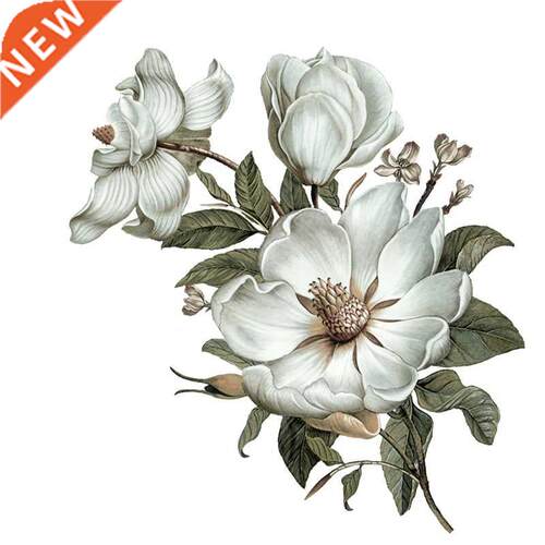 Three Ratels QC115 flowers wall sticker Classical Magnolia