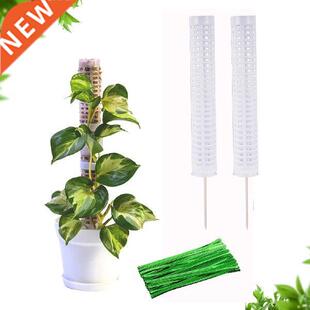 Moss Poles For Climing Plants Plant Support Extension Rack