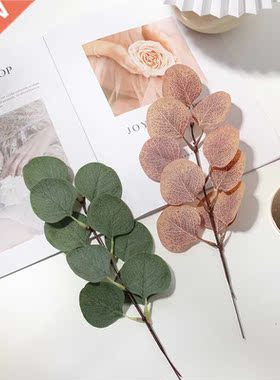 Simulation Eucalyptus leaves Photo Shoot Decoration Photogra