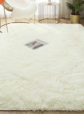 Carpet for Living Room Fluffy Bed Room Rug Home Decor Window