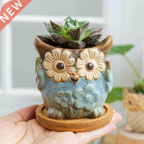 Owl Succulents Flower Pots Living Room Ceramic Flowerpot Off