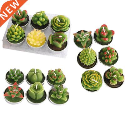 3D Handmade cate Succulent Cactus Candles For Birthday Party