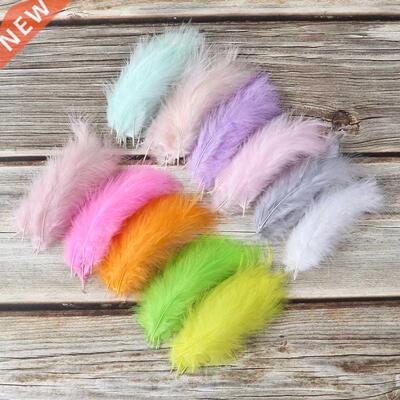 50 PCS Turkey Marabou Feathers Fluffy Decorative Feathers We
