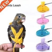 Outdoor Lea Flying New Parrot and Set Harness Adjustable