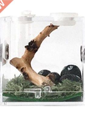 Clear Insect Feeding Box - Transparent Acrylic Reptile