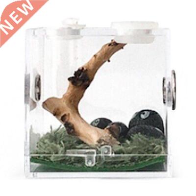 Clear Insect Feeding Box - Transparent Acrylic Reptile