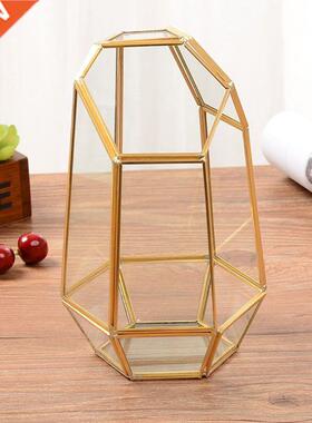 Indoor Tabletop Irregular Glass Geometric Air Plants