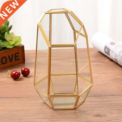 Indoor Tabletop Irregular Glass Geometric Air Plants
