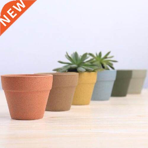 Simple Style Planter Fleshy Container Desktop Ornaments