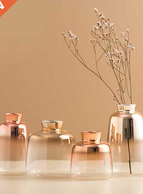 Moderno Decorativo Vaso di Fiori Vasi di Vetro Tavolo Vaso