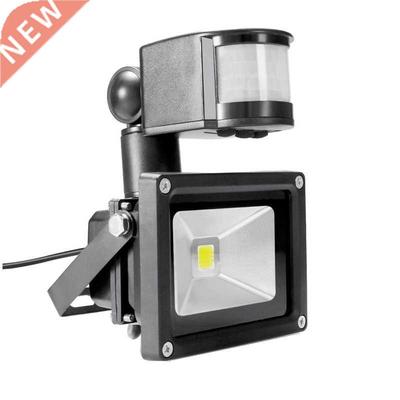 PIR 10W LED floodlight Ivanowa 12V 24V input spotlight water
