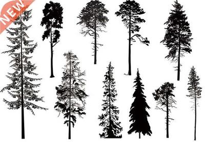 ree Transparent Clear Silicone Stamp/Seal for  scrapbooki