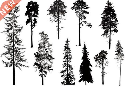 ree Transparent Clear Silicone Stamp/Seal for  scrapbooki