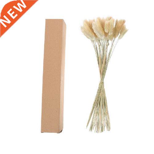 60Pcs Rabbit Tail Grass Decor Wedding Dried Plants Ornament
