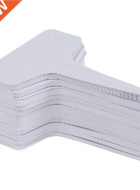 100pcs white Garden Laels gardening plant classification