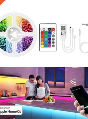 Apple Home LED Lights Room Smart WiFi LED Strip 12V Homekit