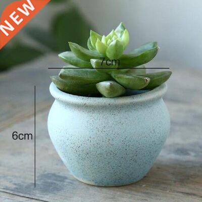 Fleshy Geen lant Vase Containe Balcony Gaden Decoation