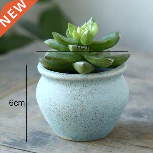 Fleshy Geen lant Vase Containe Balcony Gaden Decoation