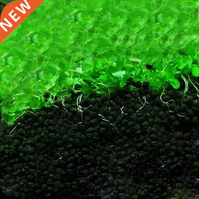 Sand Aquarium Fertilizer Aquarium Substrate Aquatic Float Gr