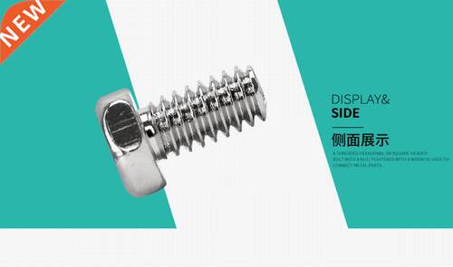2019 2020 stainless steel screw head (M2.6)