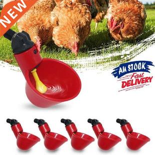 1/5 PCS Automatic Chicken Drinker Quail Hanging Water Cup