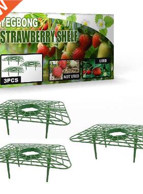 3PCS Strawberry Stand Frame Holder Balcony Planting Rack