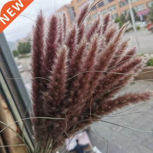 15Pcs Dried Small Pampas Grass Flowers Pantas Artificiales P