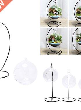 Creative Clear Glass Ball Vase Micro Landscape Air Plant