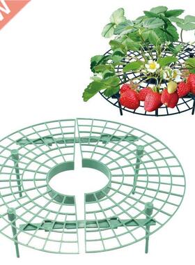 Strawberry Growing Supporter Garden Balcony Planting Rack Pl