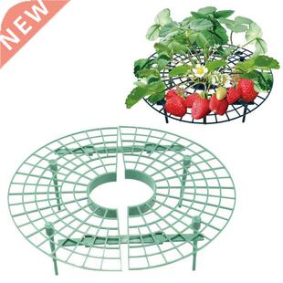 Strawberry Growing Supporter Garden Balcony Planting Rack Pl