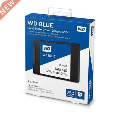 Western Digital Blue D NAND SSD 1TB 250GB 500GB SATA III In