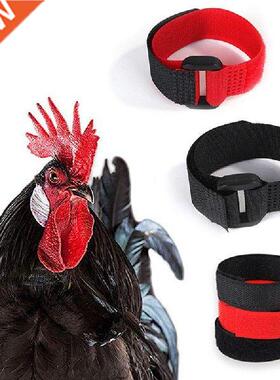 2Pcs Rooster Noise-Free Anti-Hook Neckband Collar Rooster