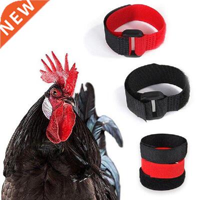 2Pcs Rooster Noise-Free Anti-Hook Neckband Collar Rooster