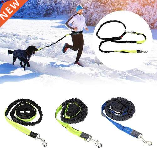 Elastic Waist Belt Running Jogging Dog Lead Puppy Cat Tracti
