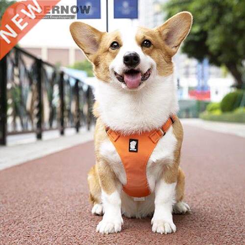 Practical Dogs Reflective Harness Collar Adjustable Vest