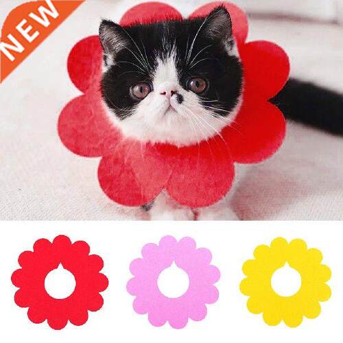 1Pc Cute Flower Shape Pet Cat Recovery Collar Pet Cat Dog