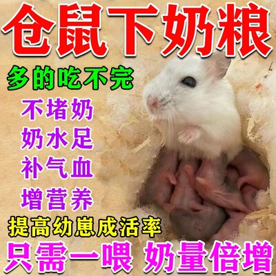 仓鼠妈妈月子餐补充营养下奶粮哺