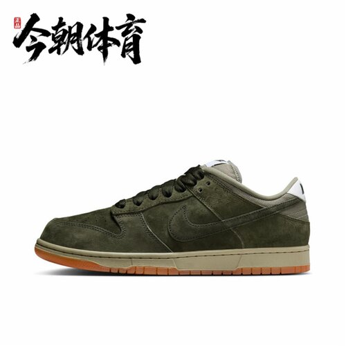 Nike耐克 Dunk SB Low Pro 男子低帮舒适休闲运动板鞋HJ0367-301