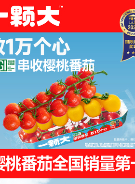 【付定！烈儿超值年货节】一颗大串番茄串收樱桃新鲜自然熟番茄