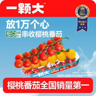 【一颗大】串番茄串收樱桃小西红柿新鲜自然熟老味道孕妇水果番茄
