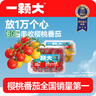 超级特卖【一颗大】樱桃番茄小串西红柿