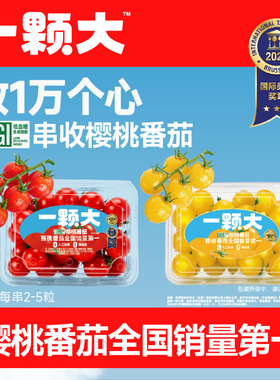 【一颗大】樱桃番茄红黄樱桃小串西红柿老味道新鲜自然熟生吃水果
