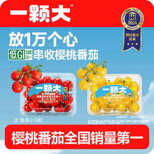 樱桃番茄红黄樱桃小串西红柿老味道新鲜自然熟生吃水果 一颗大