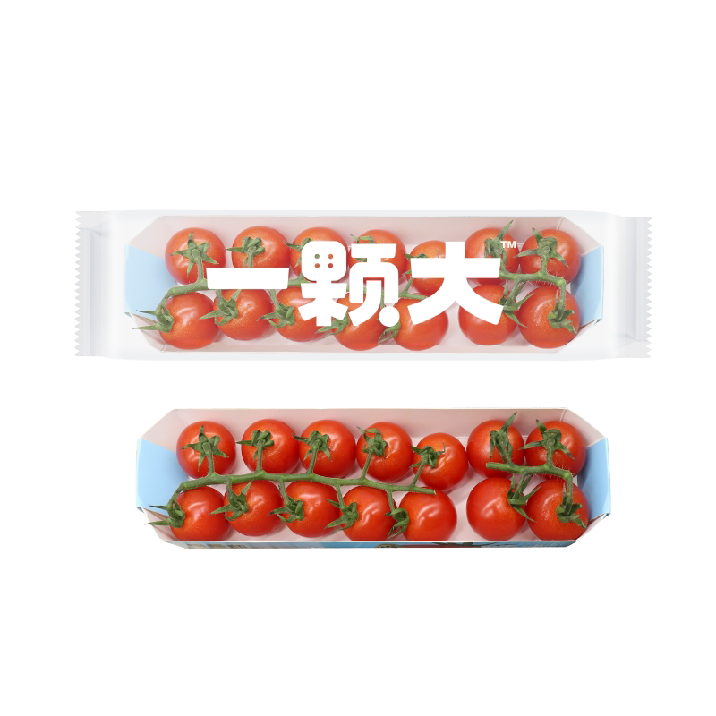一颗大串番茄水果樱桃番茄