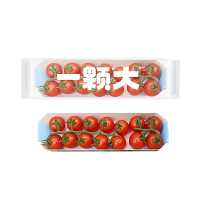 一颗大串番茄水果樱桃番茄