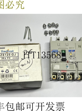 Terasaki TemBreak 2 ZS125 GJ 4P 20A 漏电支架远程跳闸