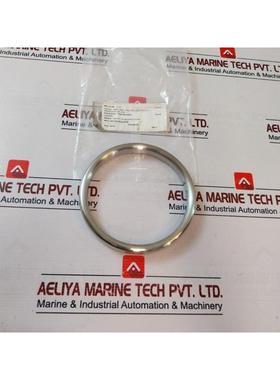 原装供应Teadit Asme B16.20 缓冲环 Anel 950 圆形 Aisi-304 R-3