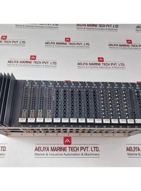 原装供应美卓自动化 S420154 Tcu 41+ Tiu 61 + Bio 8+ Pic2+ Ipu