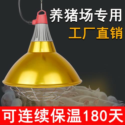 兽用大棚加温灯小鸡育雏保温灯养殖场专用猪仔取暖灯烤灯加热灯泡